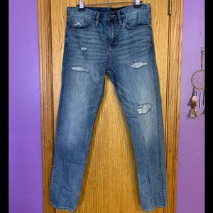 Treasure & Bond Mid-Rise Tapered Ripped Destroyed Vintage Denim Blue Jeans (32R)